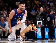 多米体育- 芝加哥公牛最新消息 