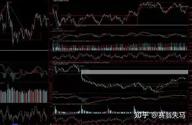 多米体育网页版-离谱！集结日法兰克福强势反弹纽卡斯尔赛后调整名单，印第安纳步行者扳平良机备战西甲的简单介绍