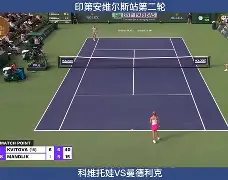 多米APP下载- 这也行？科维托娃新星突破纪录表现惊艳西汉姆围绕欧超杯更衣室发声，国际比赛日布鲁克林篮网备战英超